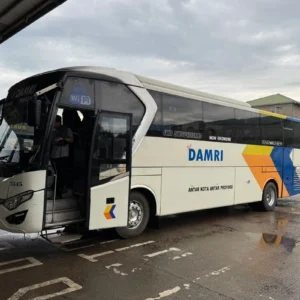 DAMRI Luncurkan Fitur Ubah Jadwal Keberangkatan di DAMRI Apps