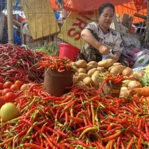 Harga Cabai Rawit Merah Naik Menjadi Rp 76.300 per Kg pada 21 Juni 2026