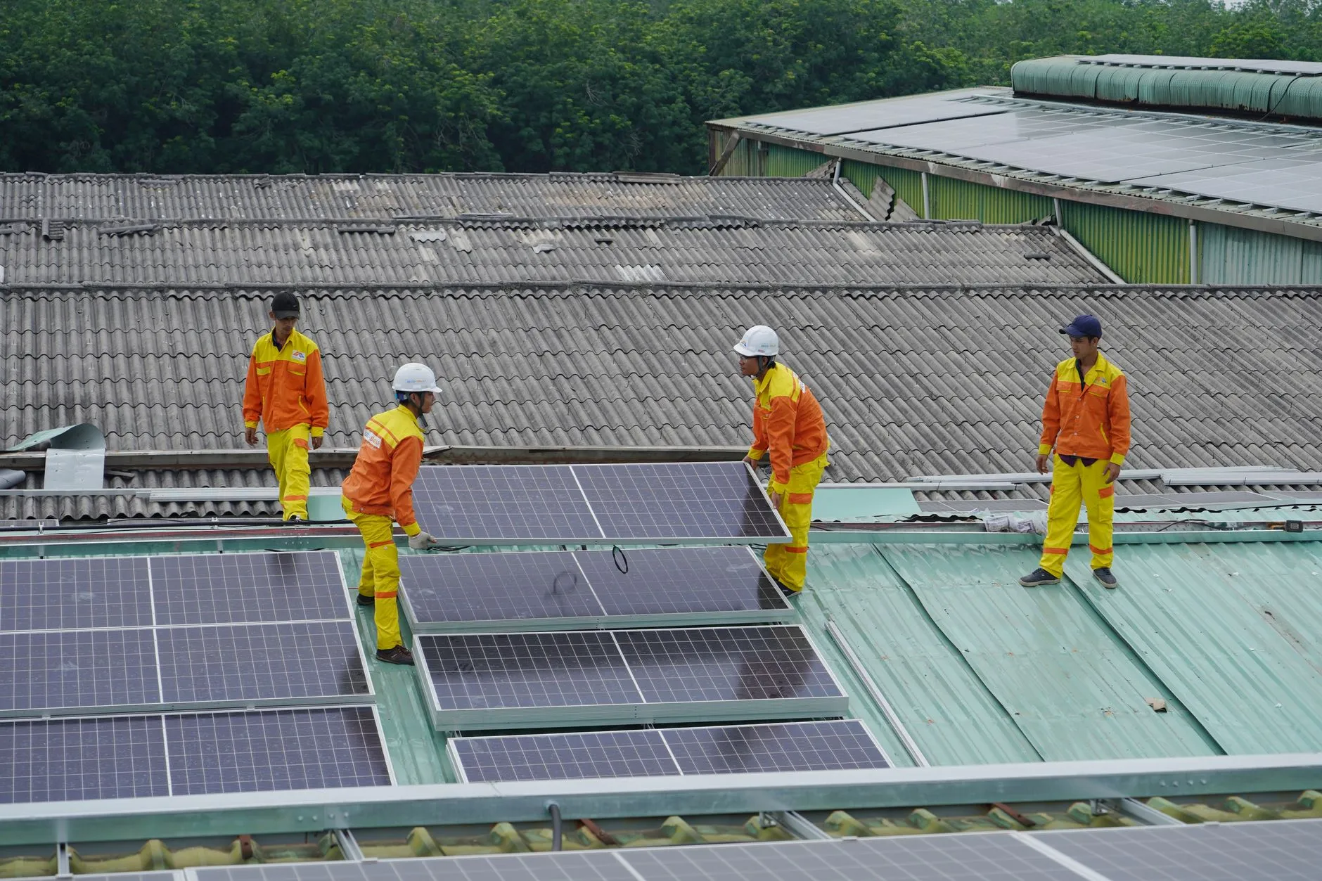 Inalum Tunjuk Kemal Sudiro Sebagai Direktur Sumber Daya Manusia dan Transformasi Bisnis