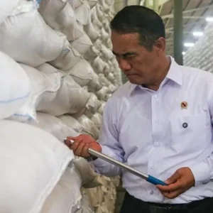 Pemerintah Yakin Stok Beras Aman Hingga Mei 2027 di Tengah Ancaman El Nino