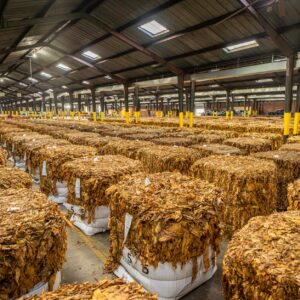Pemerintah Bebaskan Bea Masuk Impor Bahan Baku Plastik dan LPG