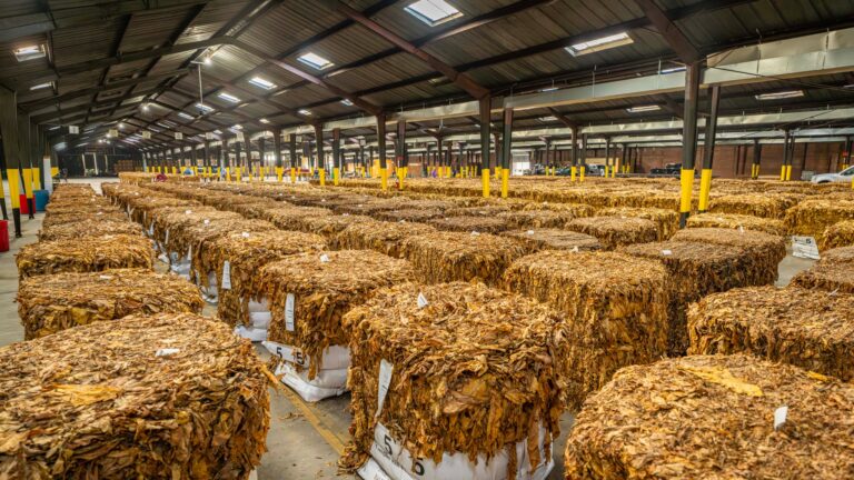 Pemerintah Bebaskan Bea Masuk Impor Bahan Baku Plastik dan LPG