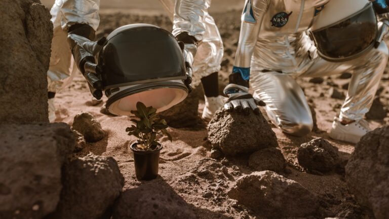 Astronaut NASA Uji Bola Piala Dunia 2026 di Luar Angkasa