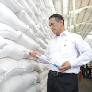 Produksi Beras Indonesia Capai 38,6 Juta Ton di Tengah Penurunan Global