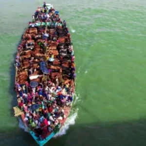 Studi Ungkap Hubungan Perubahan Iklim dan Migrasi Tidak Sederhana