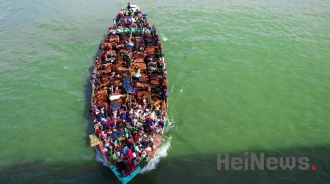 Studi Ungkap Hubungan Perubahan Iklim dan Migrasi Tidak Sederhana