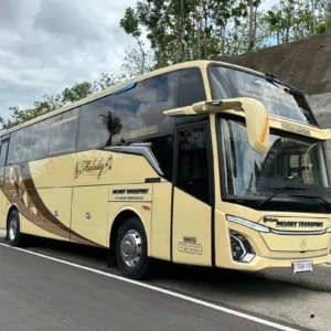 Tips Memilih Bus Pariwisata yang Aman saat Liburan Sekolah